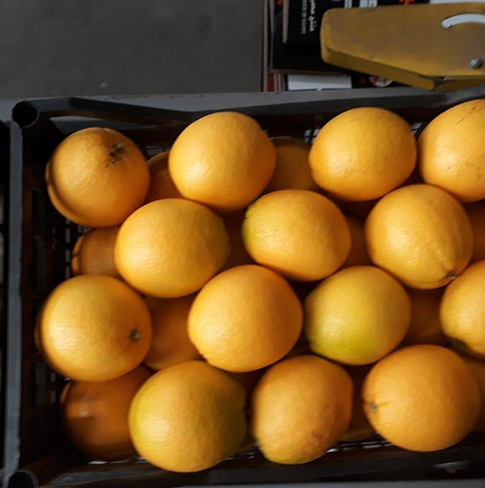 Oranges